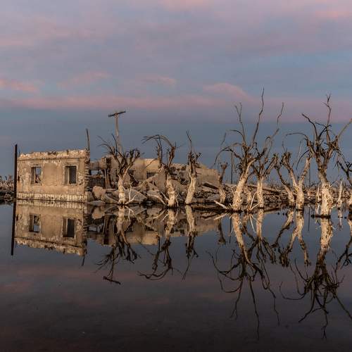 Photo #6233023