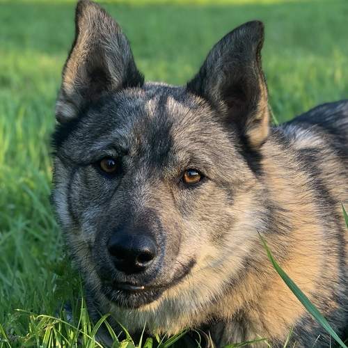 Photo #6233082