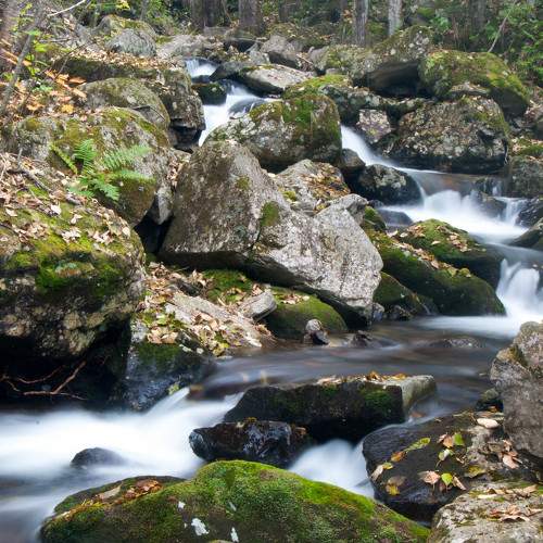 Photo #6233289