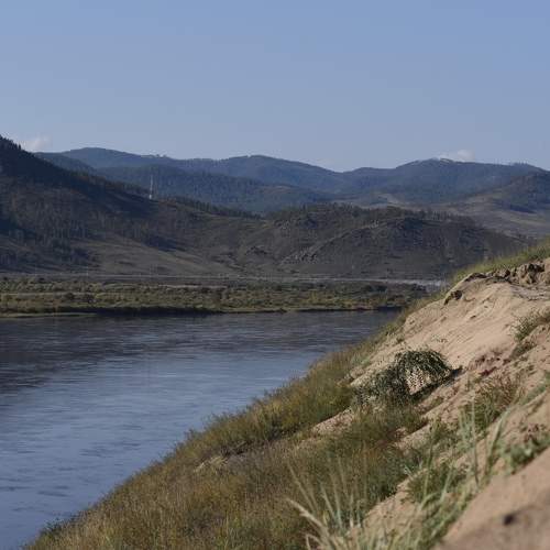 Photo #6233445