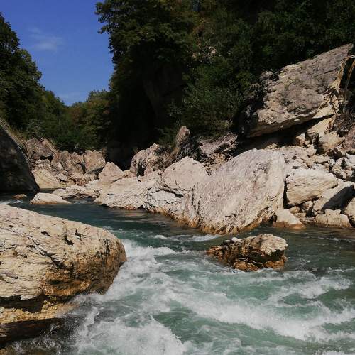 Photo #6233786