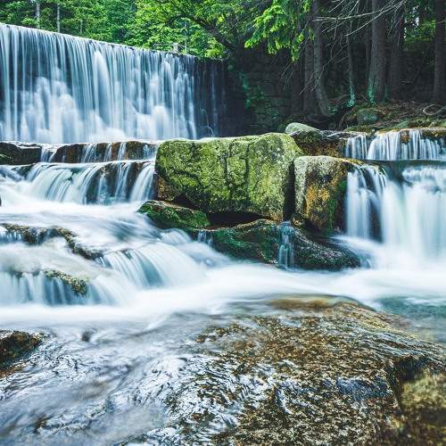 Photo #6234053