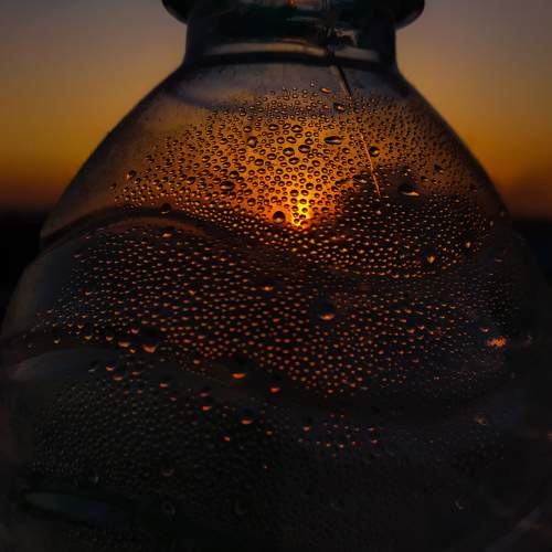 Photo #6234069