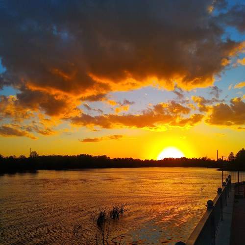 Photo #6234185