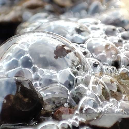 Photo #6234638
