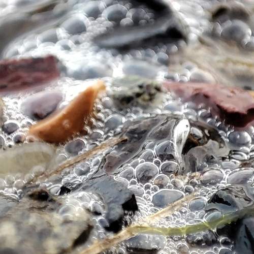 Photo #6234682