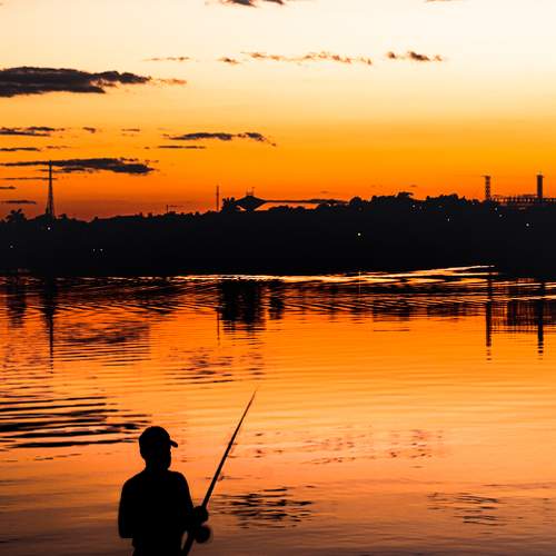 Photo #6234923