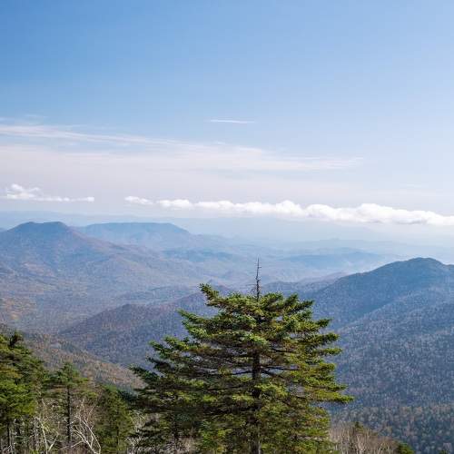 Photo #6235057