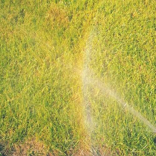Photo #6235180