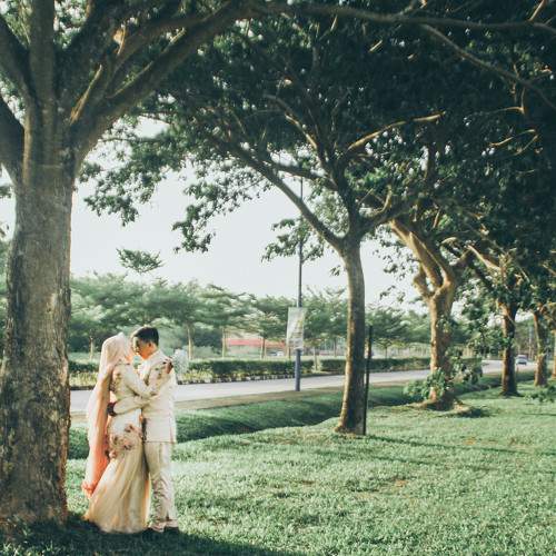 Photo #6235370