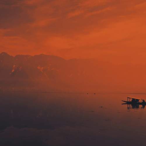 Photo #6235551