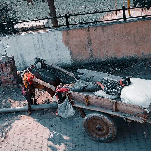 Photo #6235908