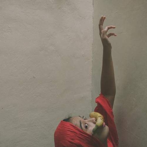 Photo #6235967