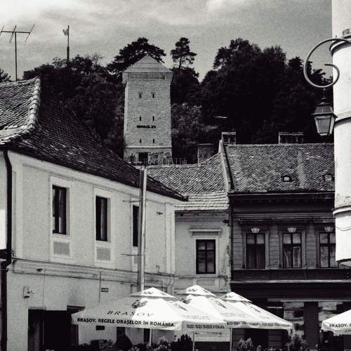 Photo #6236109