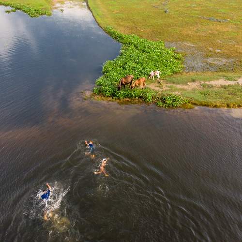Photo #6236129