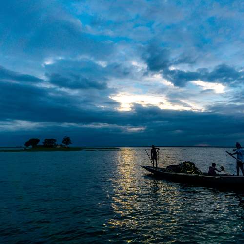 Photo #6236144