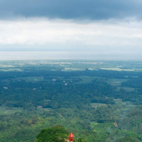 Photo #6236159