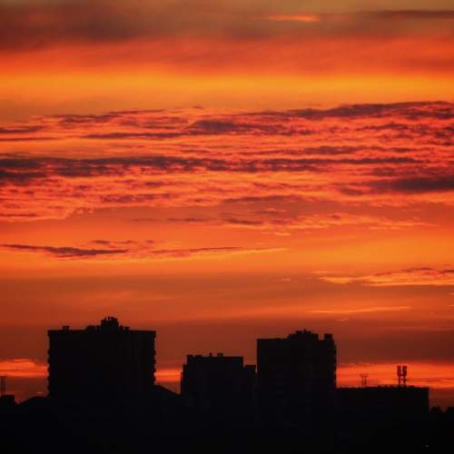 Photo #6236227
