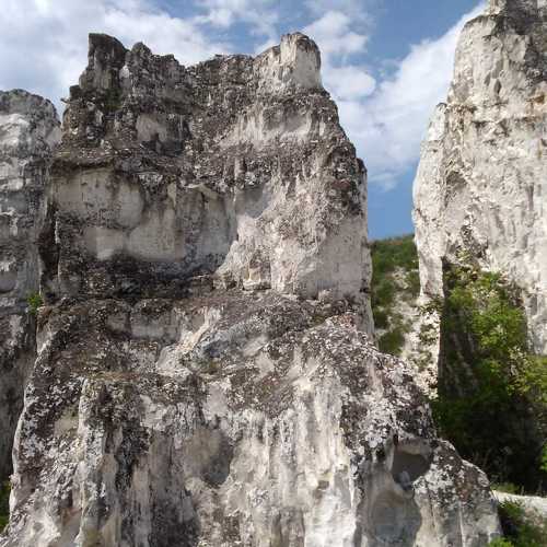 Photo #6236569