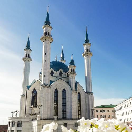 Photo #6236583