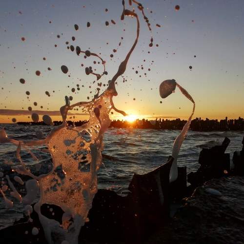 Photo #6237241