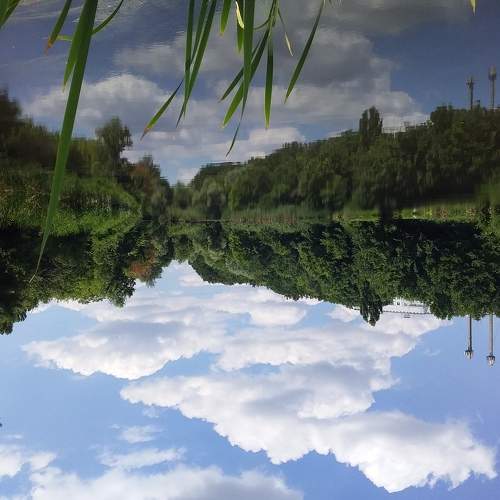 Photo #6237433
