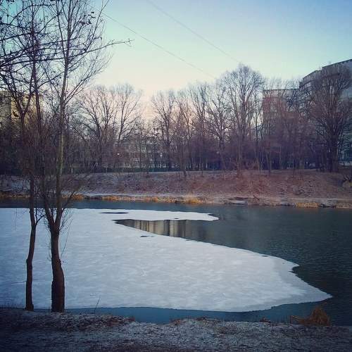 Photo #6237437