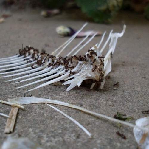 Photo #6237584