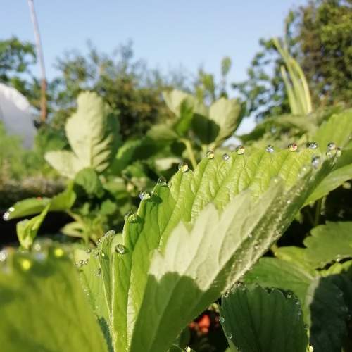 Photo #6237632