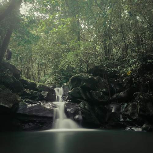 Photo #6237813