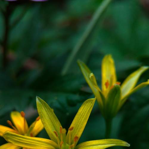 Photo #6237896