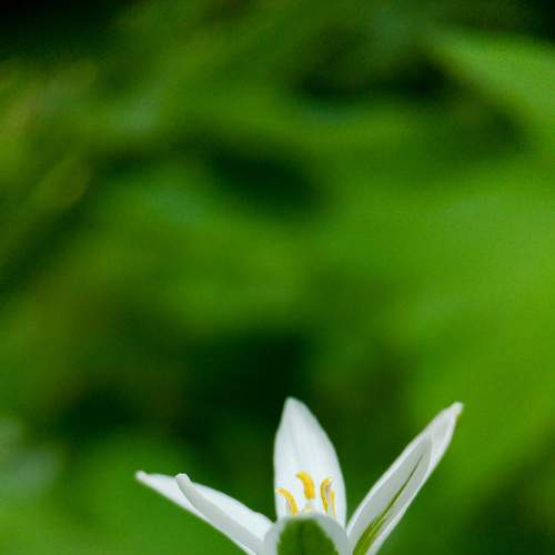 Photo #6237912