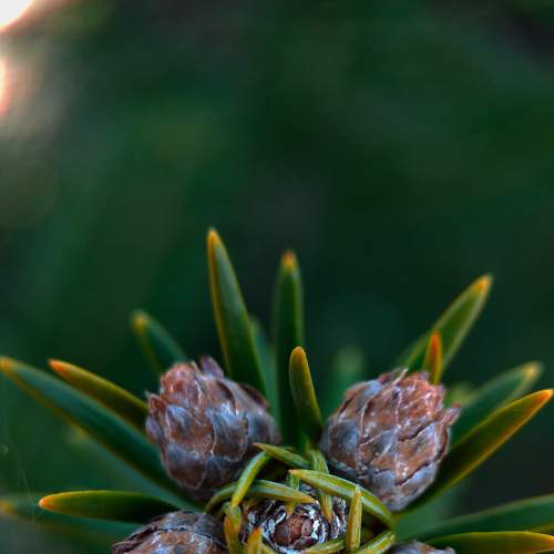 Photo #6238004