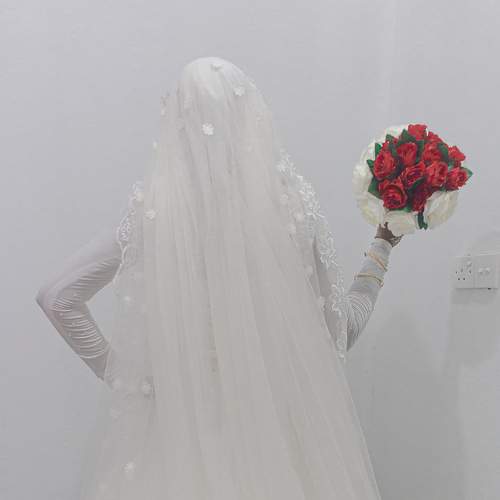 Photo #6238190