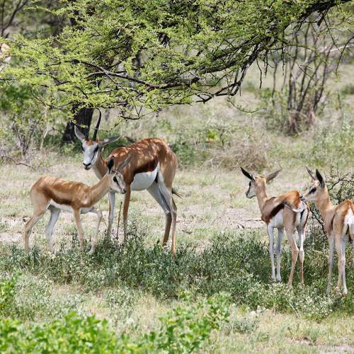 Photo #6238271