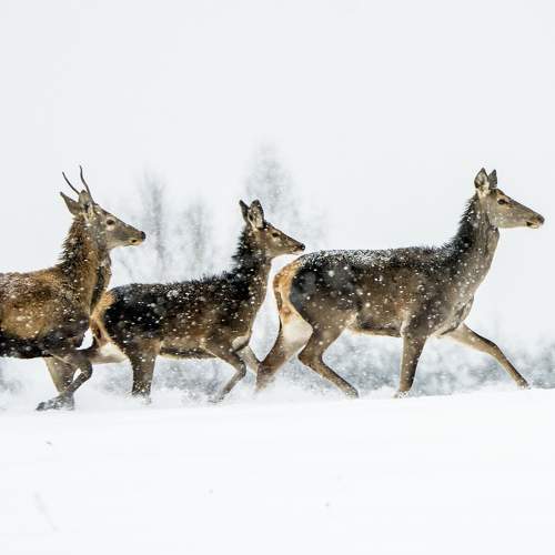 Photo #6238317