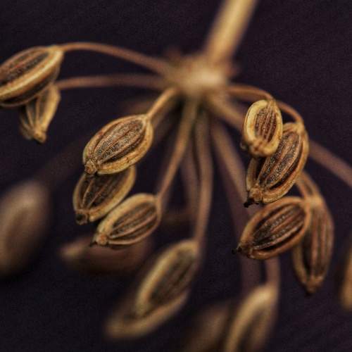 Photo #6238664