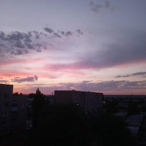 Косулины лизунцы
