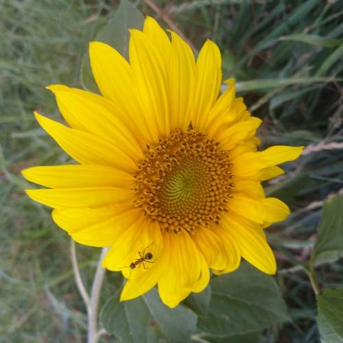 Photo #6239186