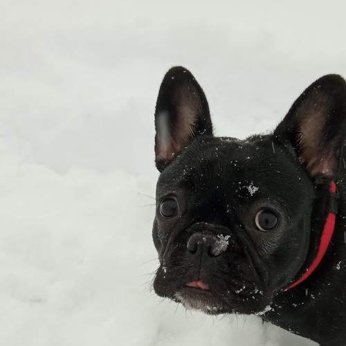 Photo #6239595