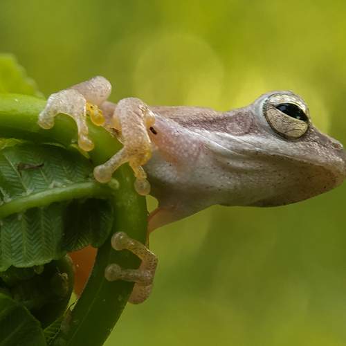 Photo #6239662