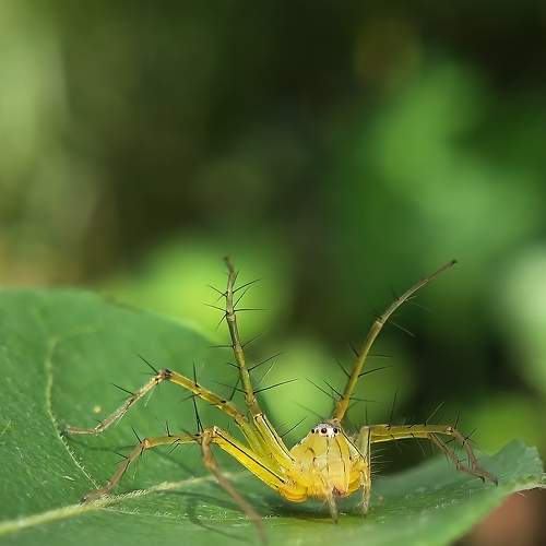 Photo #6240653