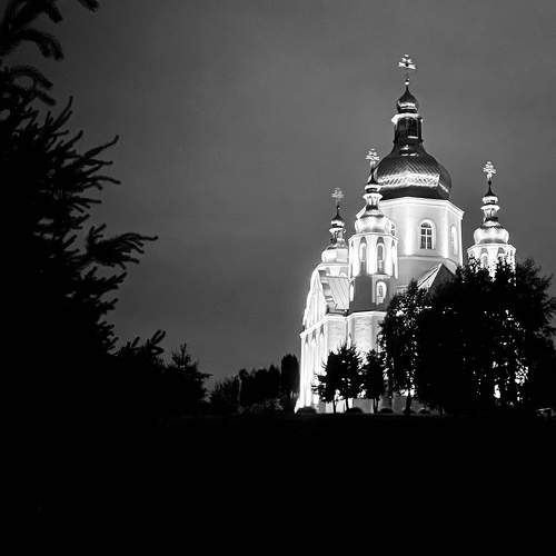 Photo #6240735