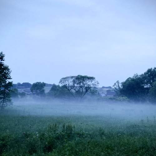 Photo #6240738