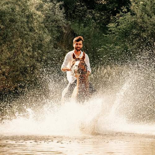Photo #6240824