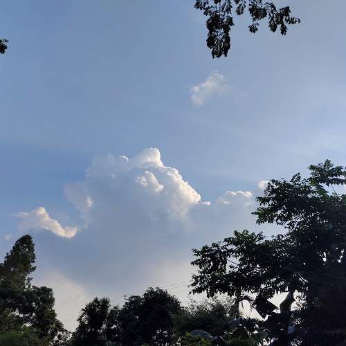 Photo #6241023