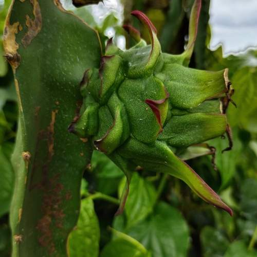 Photo #6241031
