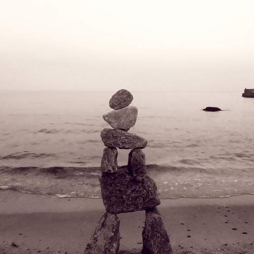 Photo #6241297