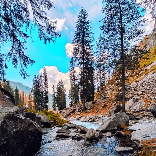 Photo #6241345