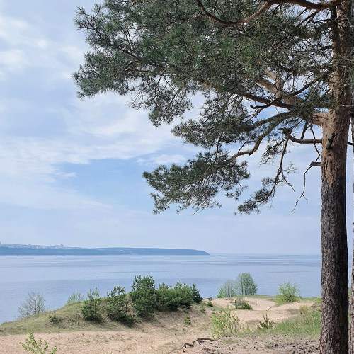 Photo #6241427
